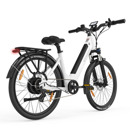 WITAMBIKE W275 Electric Bicycle