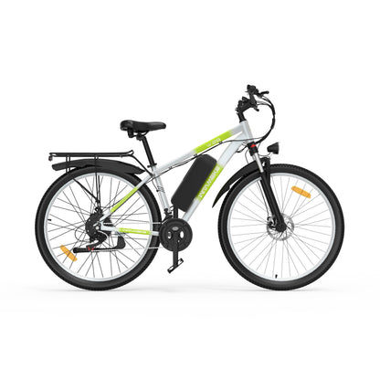 WITAMBIKE W29 Electric Bicycle