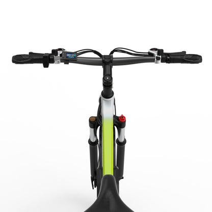 WITAMBIKE W29 Electric Bicycle